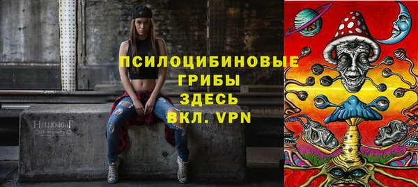 PSILOCYBIN Михайловка