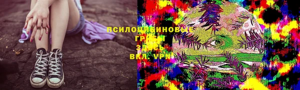 PSILOCYBIN Михайловка