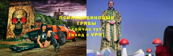 PSILOCYBIN Михайловка