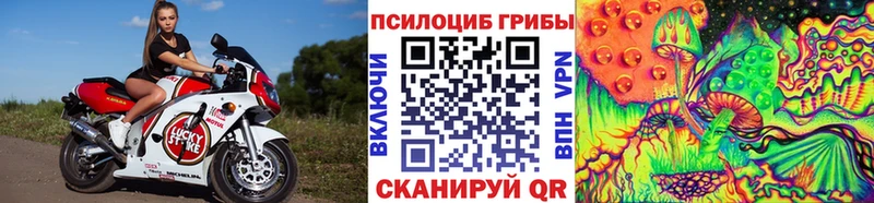 Галлюциногенные грибы Cubensis ОМГ ОМГ зеркало Томилино продажа наркотиков